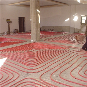 西藏拉薩市委食堂太陽能集熱水電采暖項目